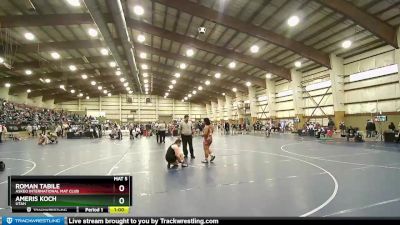 250 lbs Quarterfinal - Roman Tabile, Askeo International Mat Club vs Ameris Koch, Utah