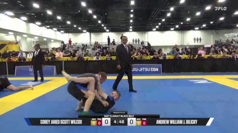 Andrew William J. Bilicky vs Corey Jared Scott Wilcox 2025 World IBJJF Jiu-Jitsu No-Gi Championship