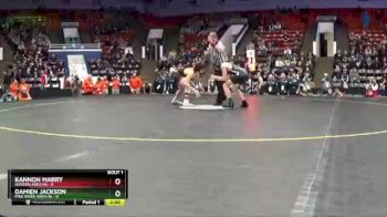 130 lbs Quarterfinals (8 Team) - Kannon Marry, Hudson Area HS vs Damien Jackson, Pine River Area HS