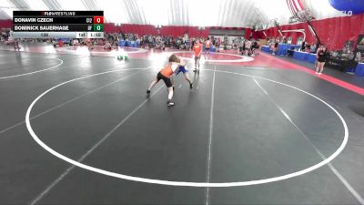 138 lbs Placement Matches (8 Team) - Donavin Czech, Cambridge-Isanti White vs Dominick Sauerhage, Oconto Falls