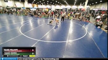 77 lbs 1st Place Match - Blake Williams, Sanderson Wrestling Academy vs Yadier Osorio, Legends Of Gold Las Vegas