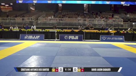 David Jason Gabauer vs Cristiano Antunes Dos Santos 2025 Pan Jiu Jitsu IBJJF Championship
