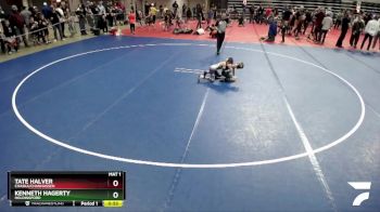 65 lbs Quarterfinal - Tate Halver, Chaska/Chanhassen vs Kenneth Hagerty, Holdingford