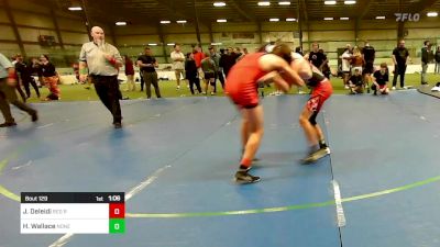 113 lbs Rr Rnd 5 - Jackson Deleidi, Red Roots Wrestling Club vs Henry Wallace, None