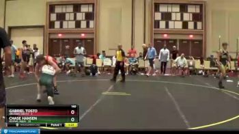 140 lbs Round 4 (6 Team) - Chase Hansen, Revival Aqua vs Gabriel Tosto, Orchard South