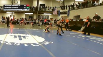103 lbs Semifinal - Marcarlo Mannello, Briarcliff-byram Hills vs Dominic Giannoni, Valley Central