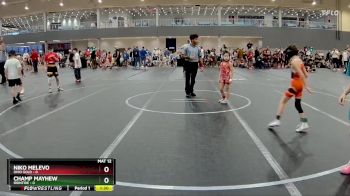 48 lbs Round 1 - Niko Melevo, Ohio Gold vs Champ Mayhew, Irontide