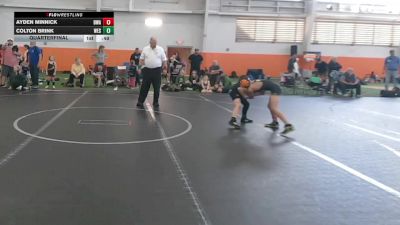 64 lbs Quarterfinal - Colton Brink, Westshore vs Ayden Minnick, Dwa