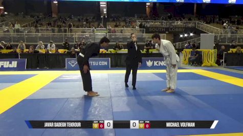 Michael Volfman vs Javar Sadegh Tekrour 2025 Pan Jiu Jitsu IBJJF Championship