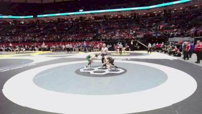 106 lbs Champ. Rd Of 16 - Andrew Mlynarczyk, St. Edward vs David Pham, Troy
