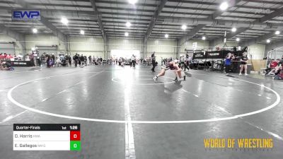 98 lbs Quarterfinal - Dakota Harris, HURRICANE WRESTLING ACADEMY vs Esperanza Gallegos, NM Gold