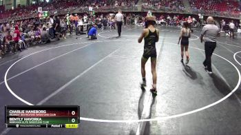 75 lbs Champ. Round 2 - Bently Havorka, Nebraska Elite Wrestling Club vs Charlie Haneborg, Midwest Destroyers Wrestling Club