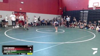 98 lbs Round 1 (8 Team) - Hunter Pankey, Kansas Gold vs Luke Mendez, Louisianimals Black