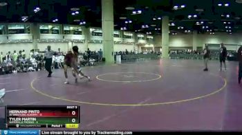 113 lbs Round 1 (10 Team) - Tyler Martin, Naperville Phoenix vs Hernand Pinto, D1 Wrestling Academy