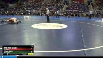 132 lbs Cons. Semi - Cole Irwin, West Fargo vs Trenton Gillen, Dickinson