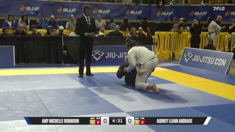 Audrey Leann Andrade vs Amy Michelle Robinson 2026 Pan Jiu Jitsu IBJJF Championship