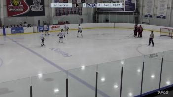 Replay: Home - 2025 Rockets HC vs WBS Knights | Mar 7 @ 3 PM