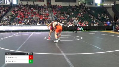 197 lbs Final - Ben Honis, Cornell vs Patrick Brucki, Princeton