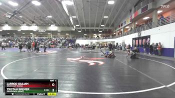 133 lbs Cons. Round 4 - Tristan Bremer, Providence (Mont.) vs Jarrod Gilliam, Briar Cliff (Iowa)