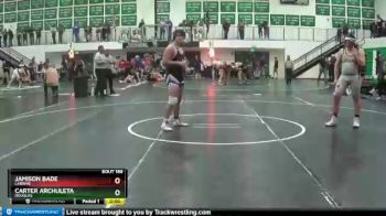 220 lbs Quarterfinal - Jamison Bade, Laramie vs Carter Archuleta, Douglas