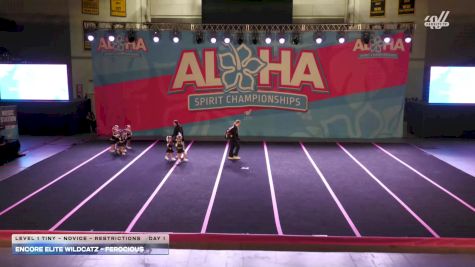 Encore Elite Wildcatz - Ferocious [2026 L1 Tiny - Novice - Restrictions Day 1] 2026 Aloha Baltimore Showdown