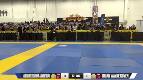 Brian Wayne Goyen vs Igor Yuryevich Iskusnykh 2024 World IBJJF Jiu-Jitsu No-Gi Championship