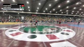 65 lbs Cons. Round 2 - Aiden Weeks, Shepherd Wrestling Club vs Ryker Phipps, Windy City Wrestlers