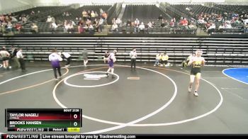 147 lbs Champ. Round 2 - Brooks Hansen, Lehi vs Taylor Nageli, Cyprus