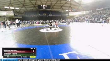 74 lbs Champ. Round 3 - Hudson Hintz, Damaged Ear Wrestling Club vs Logan Brevick, Snoqualmie Valley Wrestling Club