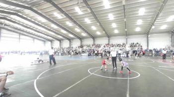 43 lbs 3rd Place - Trequez Carter, Ready RP Nationals Wrestling Team vs Emily Palomino, Nm Beast