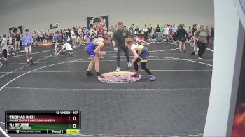 107 lbs Cons. Round 3 - Thomas Rich, Palmetto State Wrestling Academy vs Rj Stobbe, Cane Bay Cobras