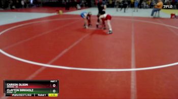 110 lbs 3rd Place Match - Carson Olson, Benson vs Clayton Birkholz, HLWW