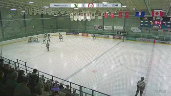 Replay: Home - 2025 CNHA Green U15 vs CBHA Wranglers U15 | Mar 9 @ 12 PM