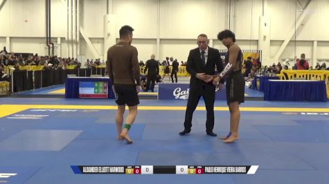 Paulo Henrique Vieira Barros vs Alixander Elliott Harwood 2024 World IBJJF Jiu-Jitsu No-Gi Championship