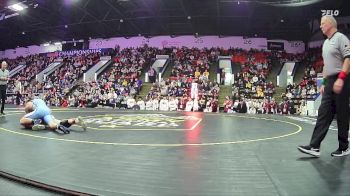 150 lbs Finals (8 Team) - Alexander Buskirk, Detroit Catholic Central HS vs Tobies Pecheco, Davison HS