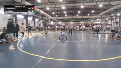 123 lbs Round 5 (12 Team) - Nico Emili, Bethlehem Catholic vs Cole Borzio, Steller Trained Thorn