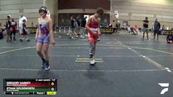 117 lbs Round 5 - Ethan Holdsworth, Ragin Raisins vs Gregory Harkey, Bulls Wrestling Club