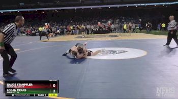 D4-132 lbs Semifinal - Logan Mears, Union City HS vs Gauge Stampfler, Delton Kellogg HS