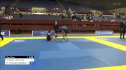 Ana Beatriz Alves Sant'anna vs Karen Fernanda Castellanos Roble 2024 Pan IBJJF Jiu-Jitsu No-Gi Championship
