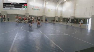 138 lbs Semis - Perry Fowler, Sanderson Wrestling Academy vs Liam Anderson, 208 Spartans