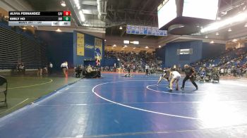 125 lbs Cons. Round 2 - Alivia Fernandez, Canyon View vs Emily Ho, JW Robinson