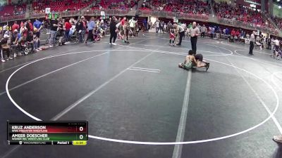 65 lbs Quarterfinal - Kruz Anderson, WWC Predator Wrestling vs Ameer Doescher, Wisner Rec Wrestling Club