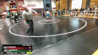 115 lbs Cons. Round 2 - Jessi Lamoreaux, Mountain View vs Ellie McBroon, Lyman