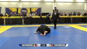 Tiffany Debora Tesch vs Ashley Christina Greer 2024 World IBJJF Jiu-Jitsu No-Gi Championship