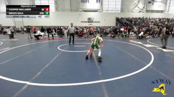 83 lbs Cons. Semi - Brock Bala, Adirondack Youth Wrestling Club vs Cooper Mallaber, HF-L Wrestling