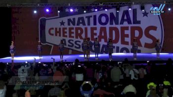 Cheertastic Co. - Royal Elite Diamonds [2024 L2 Junior - D2 Day 2] 2024 NCA Atlanta Classic