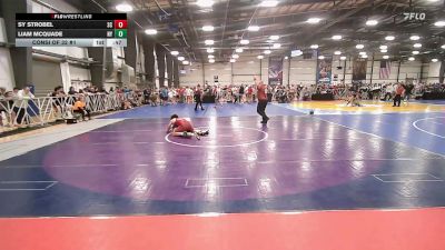 145 lbs Consi Of 32 #1 - Sy Strobel, SC vs Liam McQuade, NY
