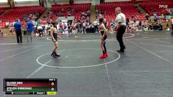 68 lbs Champ. Round 1 - Oliver Dies, Brecksville vs Steven Imbrogno, Rogue