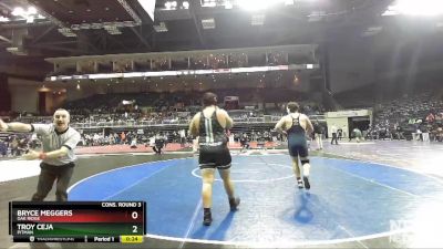 285 lbs Cons. Round 3 - Troy Ceja, Pitman vs Bryce Meggers, Oak Ridge