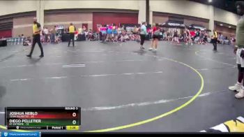 220 lbs Round 3 (4 Team) - Joshua Neblo, Team Palmetto vs Diego Pelletier, Ky Extreme